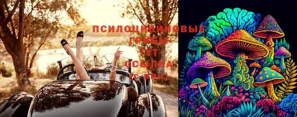 ECSTASY Баксан